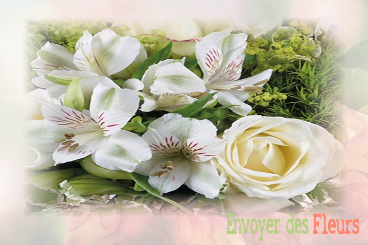 envoyer des fleurs à à VEAUVILLE-LES-BAONS